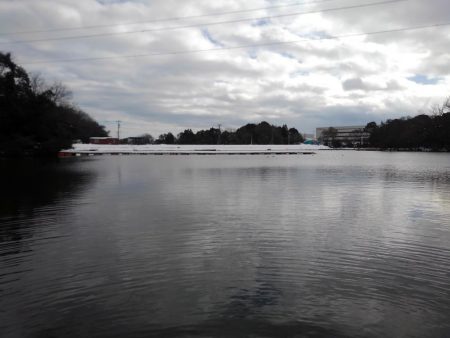 大安トラウトレイク釣果